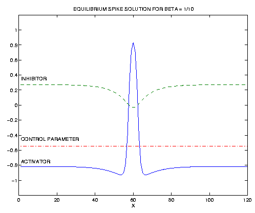 equilibrium spike solution