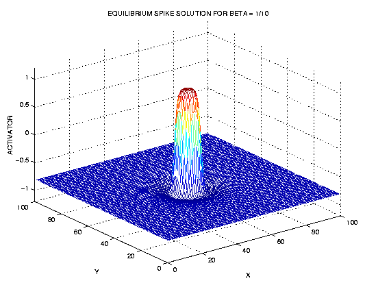 equilibrium spike solution - 2D case
