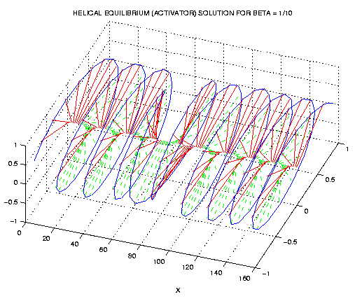 helical equilibrium solution