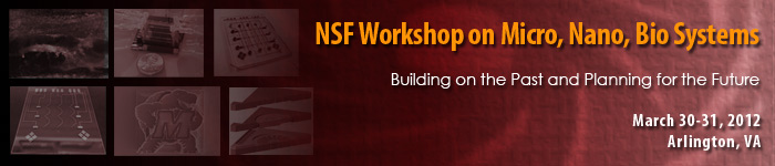NSF Workshop