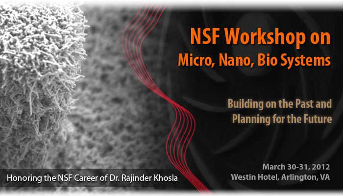 NSF Workshop
